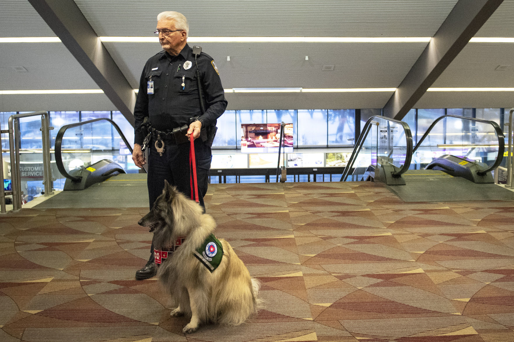 Airport dogs, 1.18